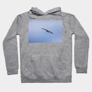 Osprey_VOA7096 Hoodie